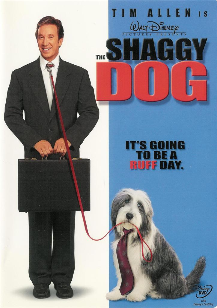 Shaggy_Dog-1.jpg